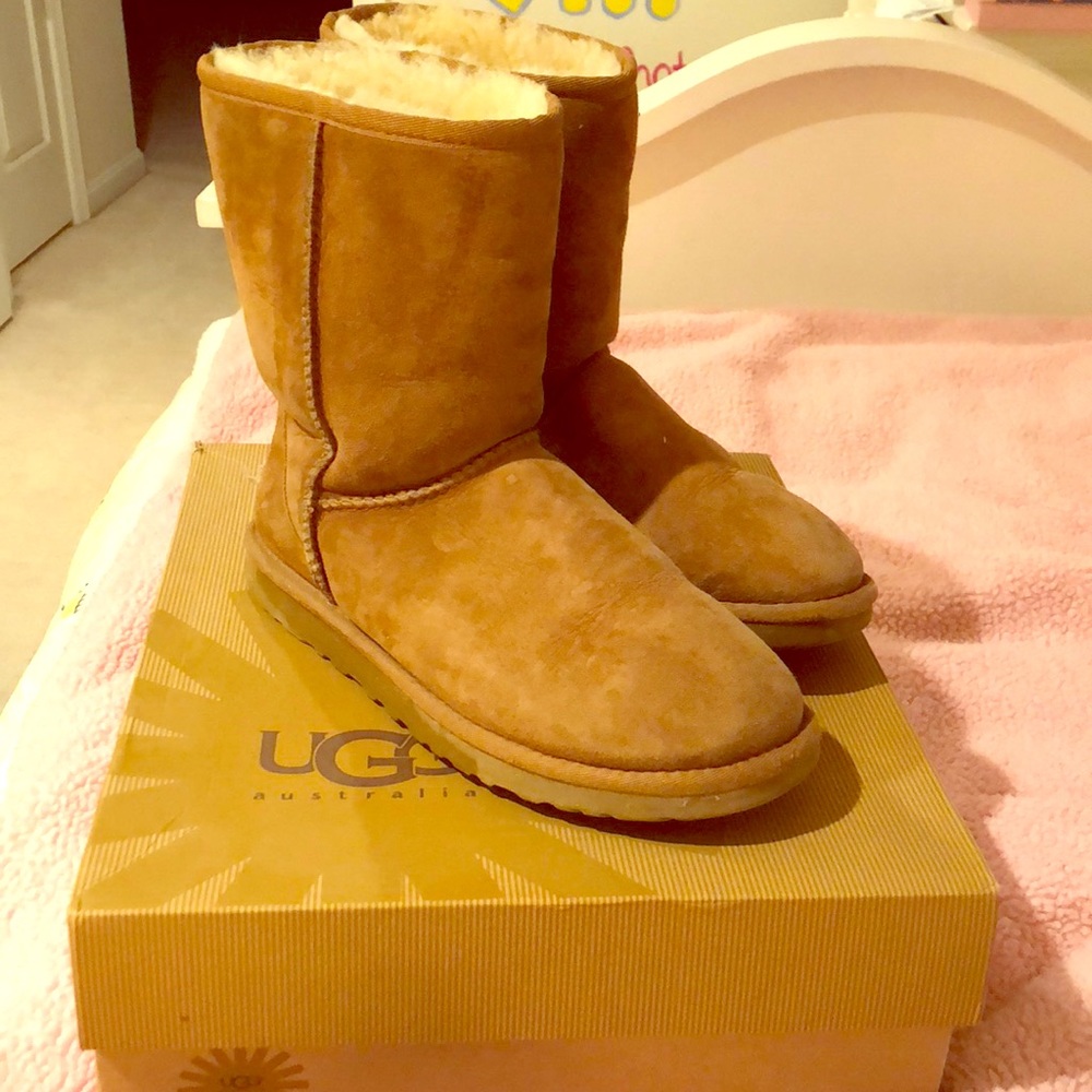 UGG Short Classic Chestnut Boot